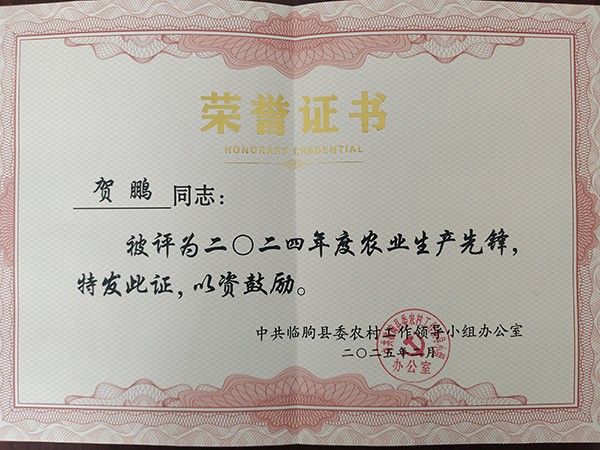 榮譽(yù)證書