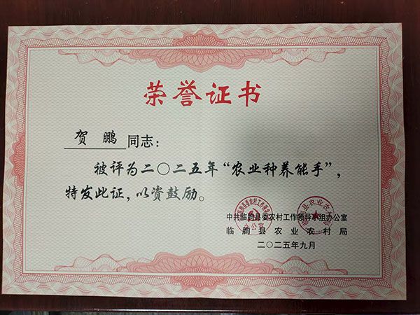 榮譽(yù)證書